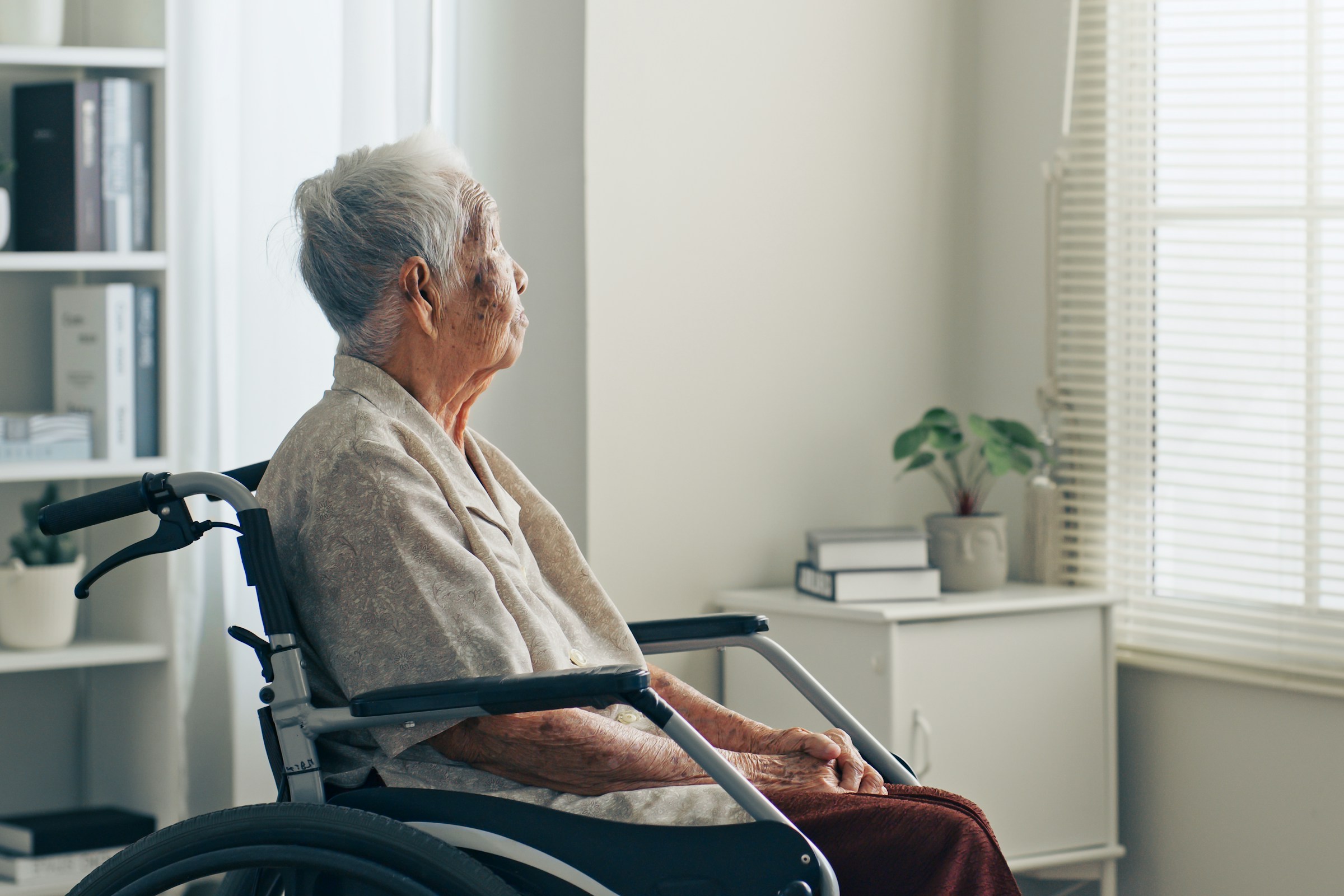 Older adult sitting in a wheelchair near a bright window, representing Alzheimer’s disease, aging, mobility challenges, and the need for supportive brain health care.