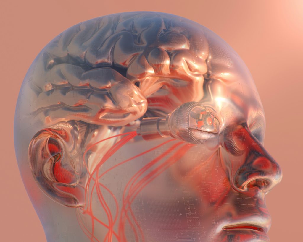 Transparent human head showing the brain, eye, ear, and facial nerves to illustrate brain blood flow and neurovascular health.
