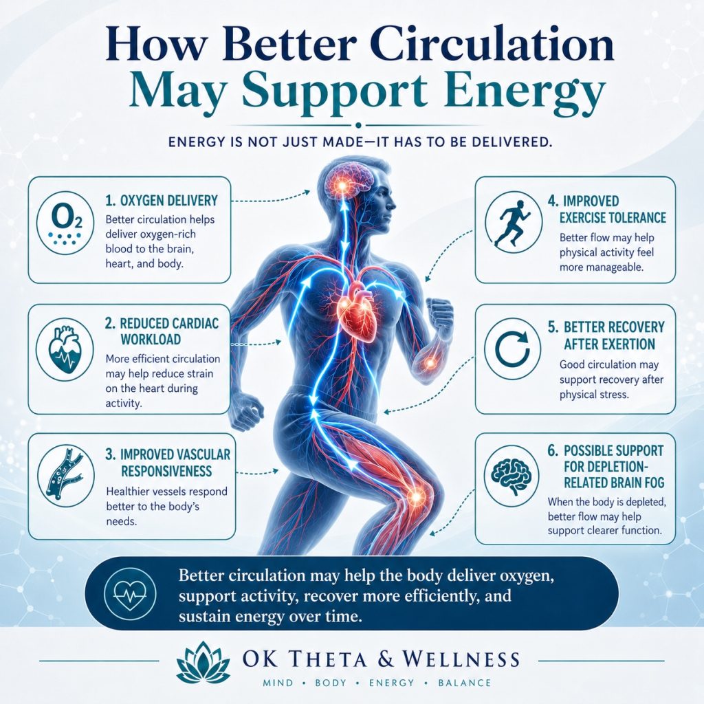 Infographic titled “How Better Circulation May Support Energy” showing a running human figure with highlighted heart, brain, blood vessels, and muscles, surrounded by callouts for oxygen delivery, reduced cardiac workload, improved vascular responsiveness, improved exercise tolerance, better recovery after exertion, and possible support for depletion-related brain fog.