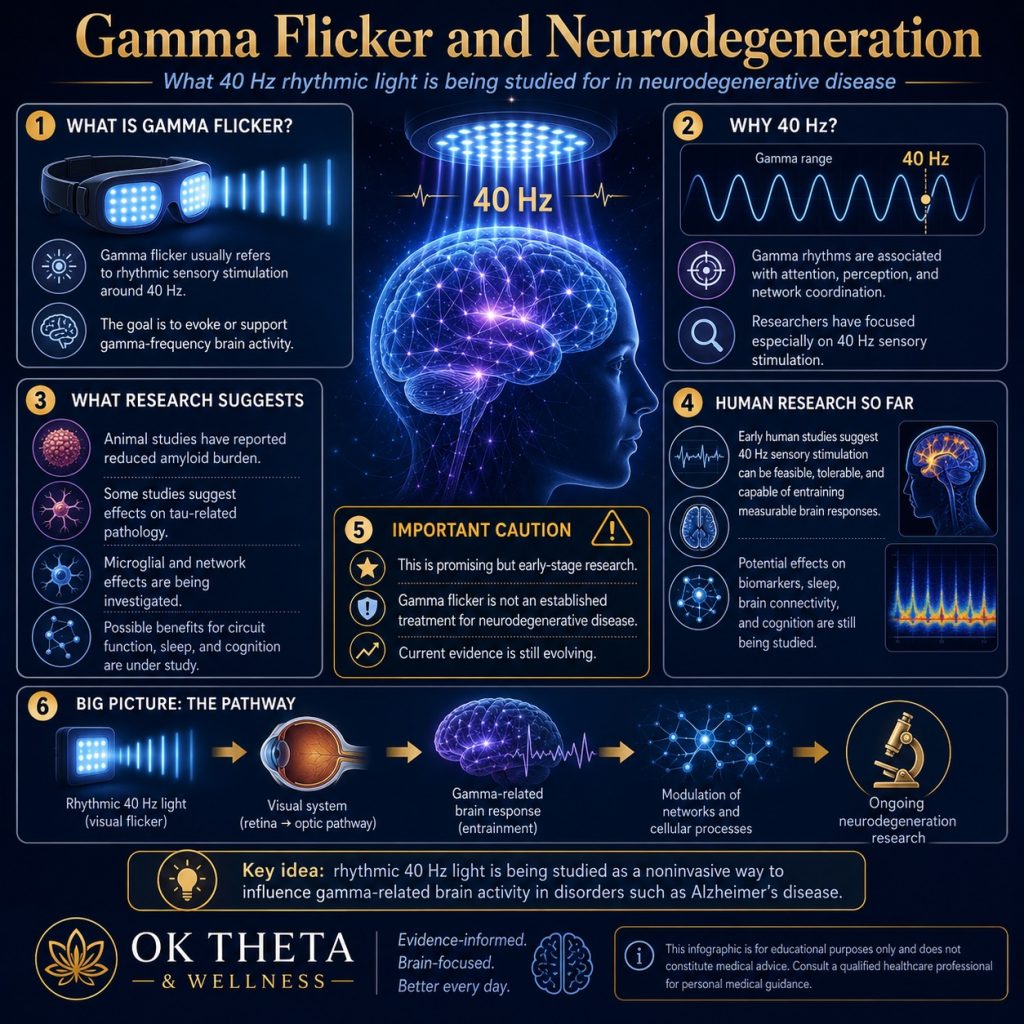 Infographic titled “Gamma Flicker and Neurodegeneration” explaining how 40 Hz rhythmic light stimulation is being studied for neurodegenerative disease, with panels showing gamma flicker, visual-system activation, gamma-range brain responses, research findings, human studies, and an important caution that the evidence is still early-stage.