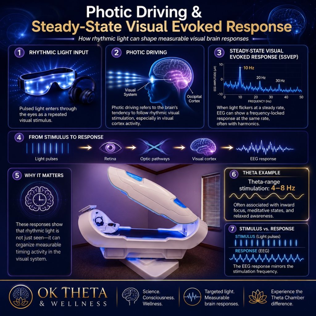 Infographic titled “Photic Driving & Steady-State Visual Evoked Response” showing how rhythmic light stimulation enters the eyes, travels through the retina and optic pathways to the visual cortex, and produces measurable EEG responses that mirror the stimulation frequency.