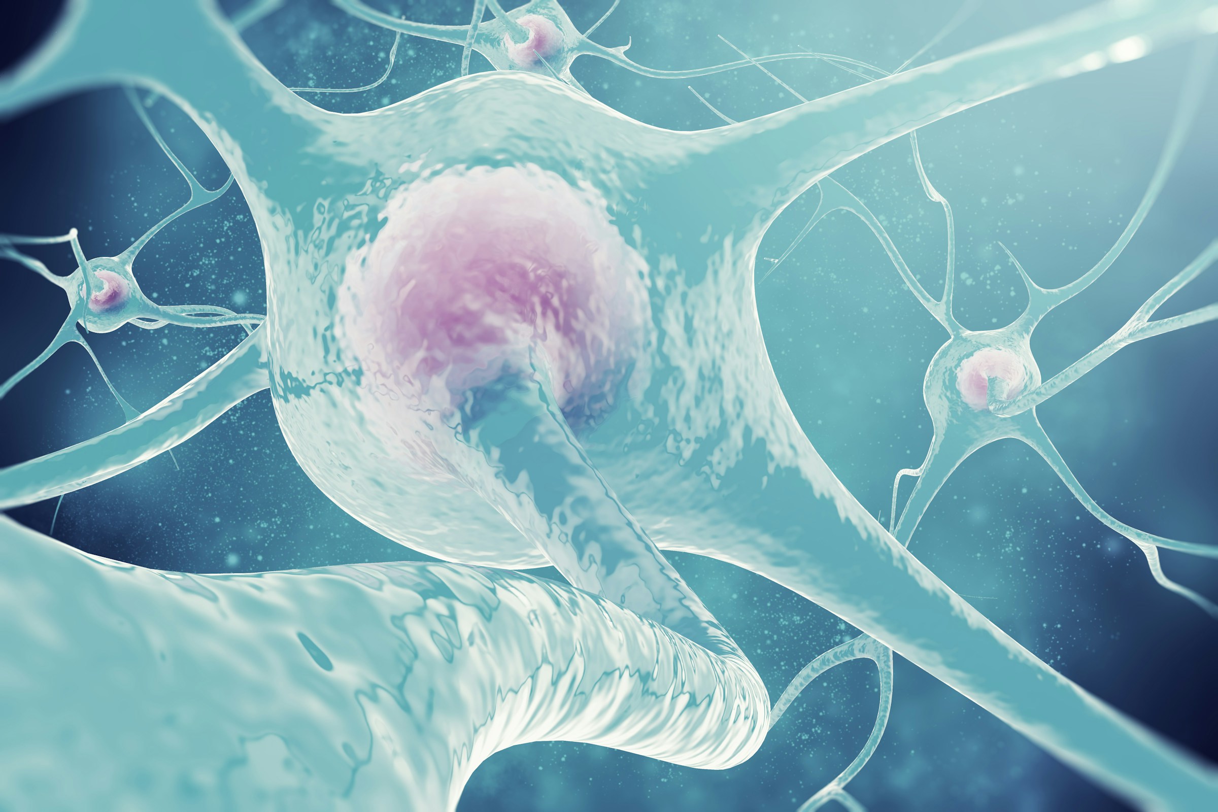 Close-up medical illustration of neurons, representing vagus nerve stimulation, nervous system signaling, and neuroregulation.