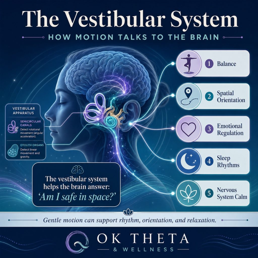 Educational infographic showing the vestibular system inside the inner ear, with pathways connecting motion to balance, spatial orientation, emotional regulation, sleep rhythms, and nervous system calm.