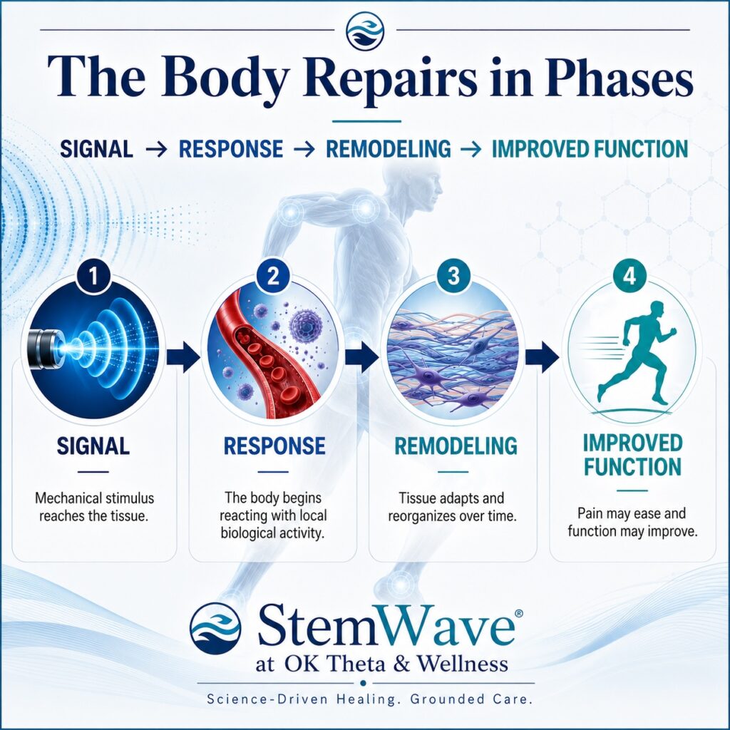 Infographic titled “The Body Repairs in Phases” showing how StemWave at OK Theta & Wellness may support tissue repair through the sequence of signal, response, remodeling, and improved function.