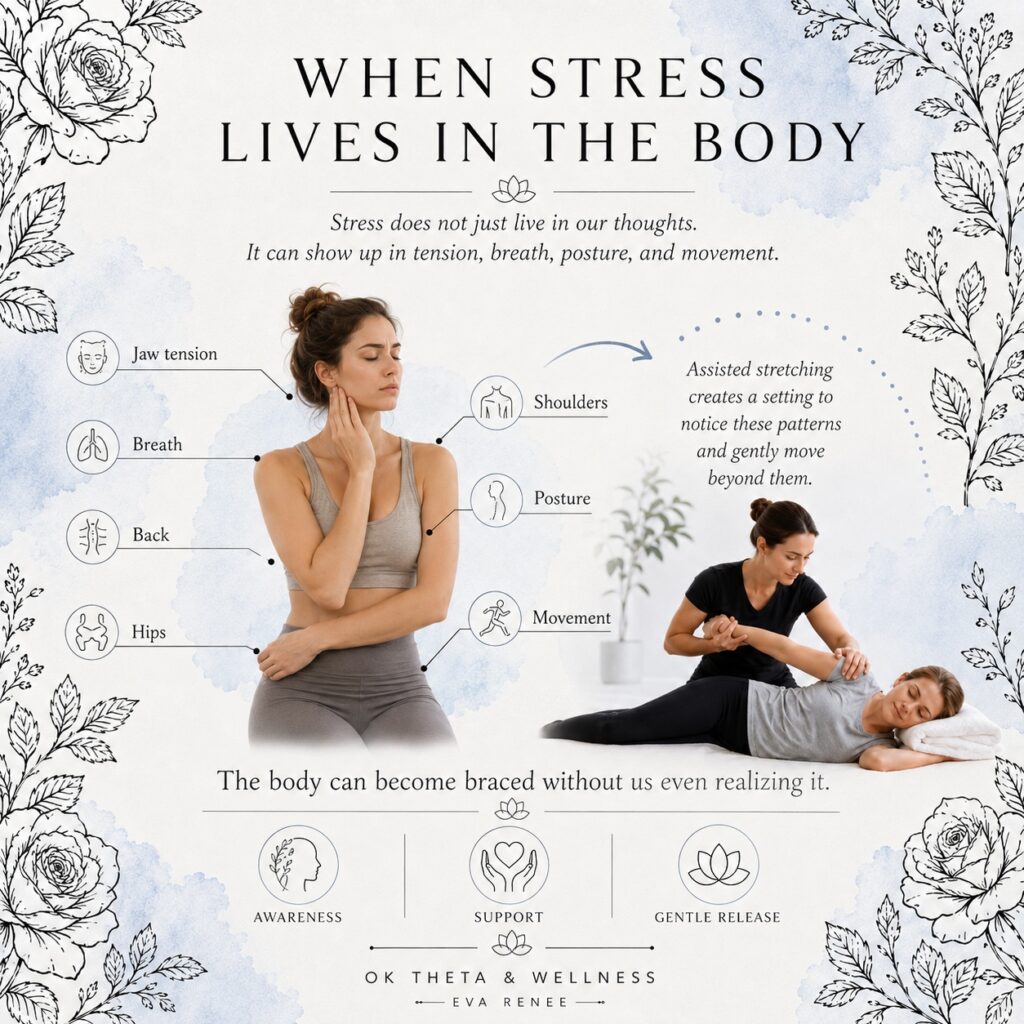 Square infographic titled “When Stress Lives in the Body,” showing how stress can appear in jaw tension, shoulders, breath, back, hips, posture, and movement, alongside an assisted stretching scene.